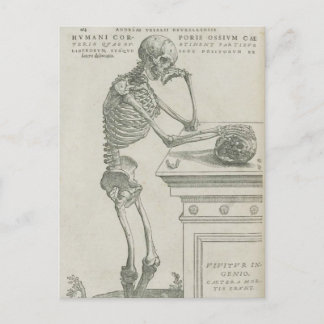 Carte Postale Vesalius Skeletal Image