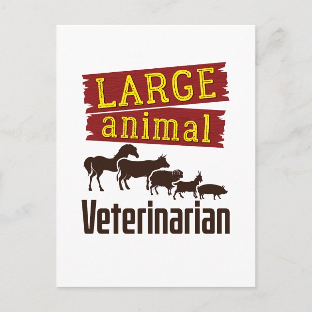 Carte Postale Vétérinaire gros animal (Devant)