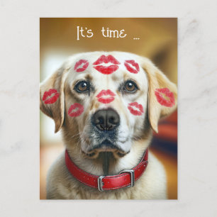 Carte Postale Vétérinaire Labrador Retriever Kisses