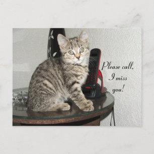 Carte Postale Veuillez appeler Kitty