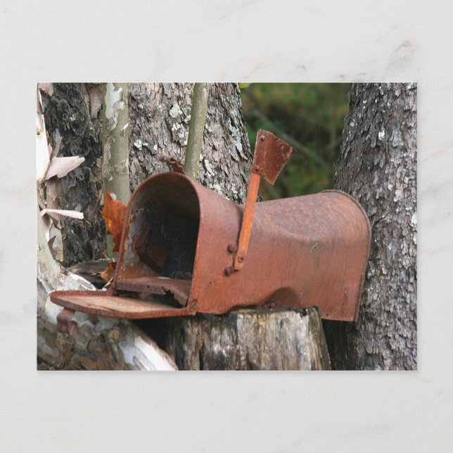 Carte Postale Veuillez écrire (Devant)