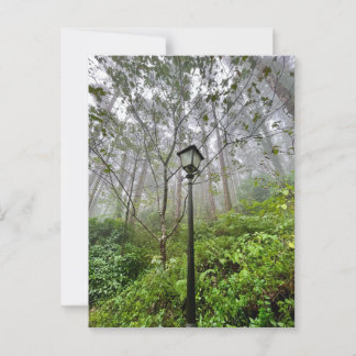 Carte Postale Vibes portugaises