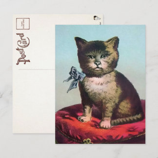 Carte postale victorienne de chat étrange