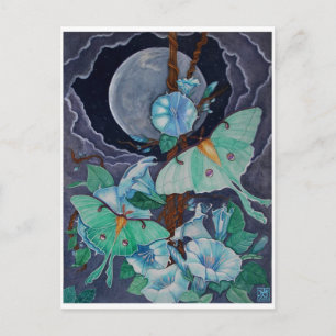 Carte Postale Vida de la Luna