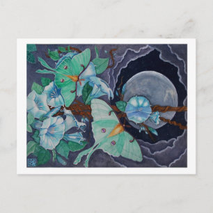 Carte Postale Vida de la Luna