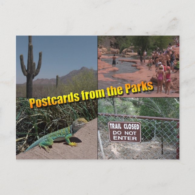 Carte postale vide (Devant)