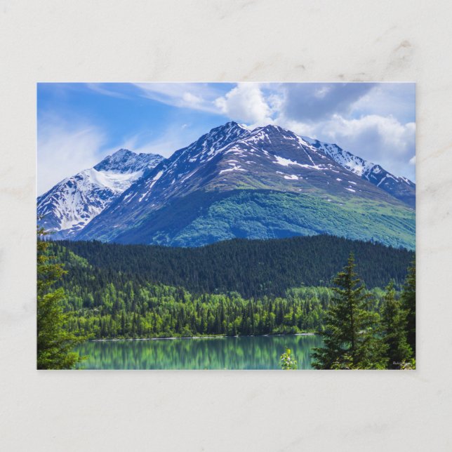 Carte postale vide (Devant)