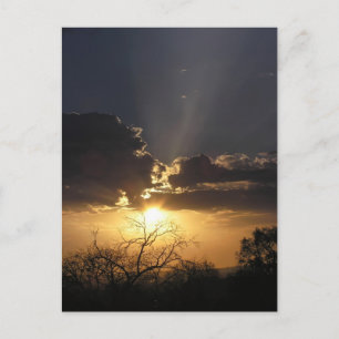 Carte postale Vie Art