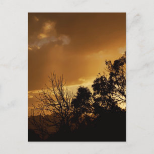 Carte postale Vie Art