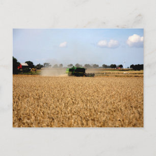 Carte Postale Vie dans le pays