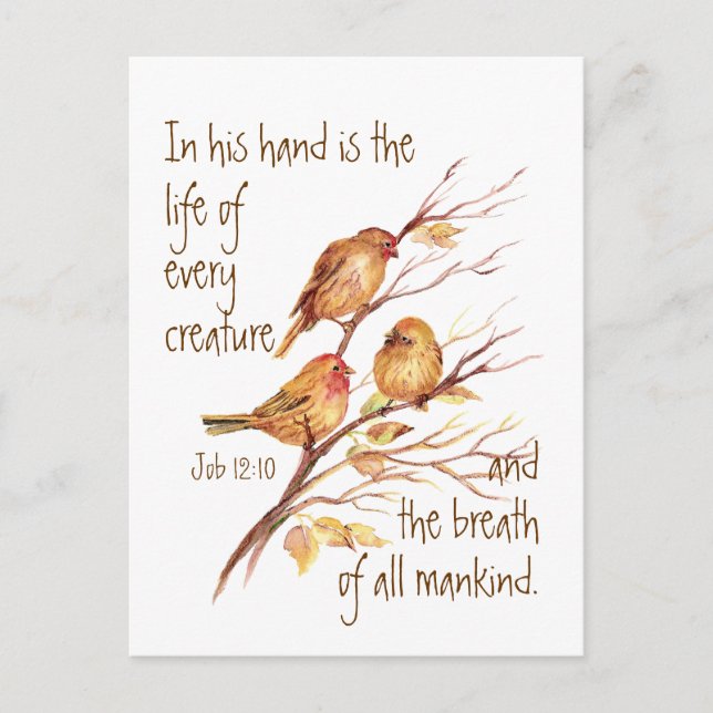 Carte Postale Vie inspirante de chaque Citation de créature (Devant)