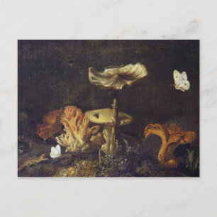 Carte Postale Vie morte avec des champignons et des papillons
