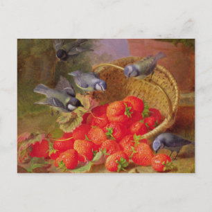 Carte Postale Vie morte avec fraises et bleuets