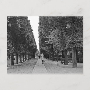 Carte Postale Vieille femme au parc à Paris en été
