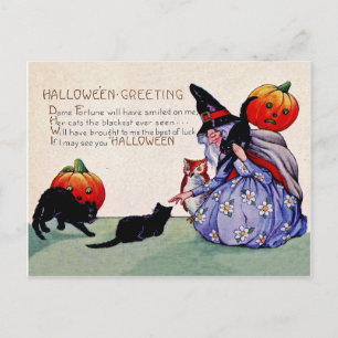 Carte Postale Vieille sorcière avec chats citrouille et noirs, v