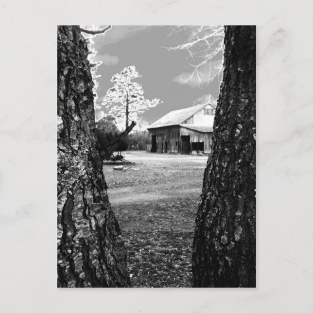 Carte Postale Vielle grange Rural Granges Pays noir et blanc Pho (Devant)
