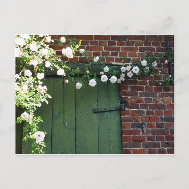 Carte Postale Vielle porte et rose (Devant)