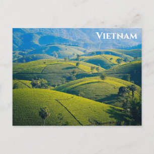 Carte Postale Vietnam Long Coc Tea Hills Photo Voyage