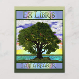 Carte postale Vieux chêne