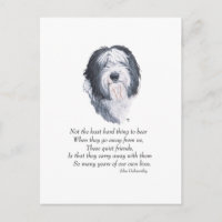 Vieux chien de berger anglais Rainbow Bridge