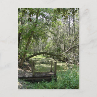 Carte postale - Vieux Floride