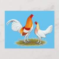 Vieux jeu anglais Bantam : Pyle rouge