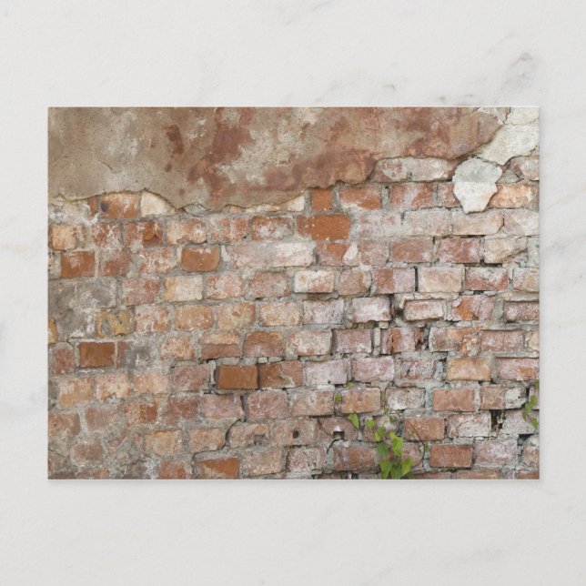 Carte Postale Vieux mur en briques (Devant)