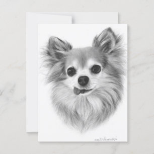 Carte Postale Vieux Vieux Chihuahua Haired Peint à la main