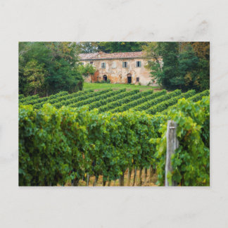 Carte Postale Vieux vignoble toscan et Villa