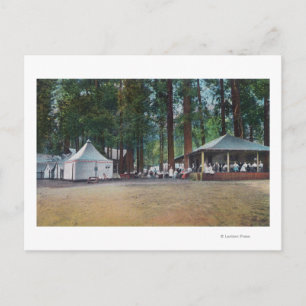 Carte Postale View of Camp CurryYosemite Nat'l Park, CA