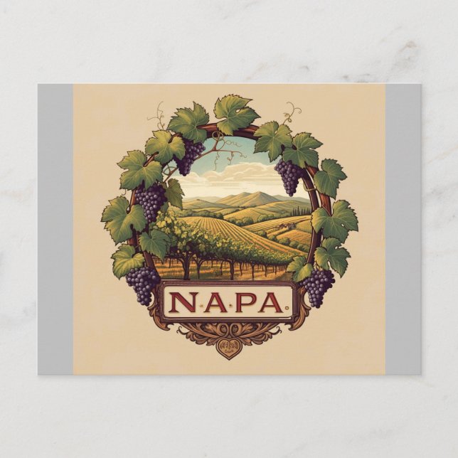 Carte Postale Vignoble Napa Valley Souvenir (Devant)