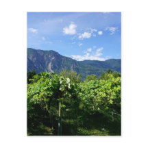 Vignoble sud de la Colombie-Britannique, Canada