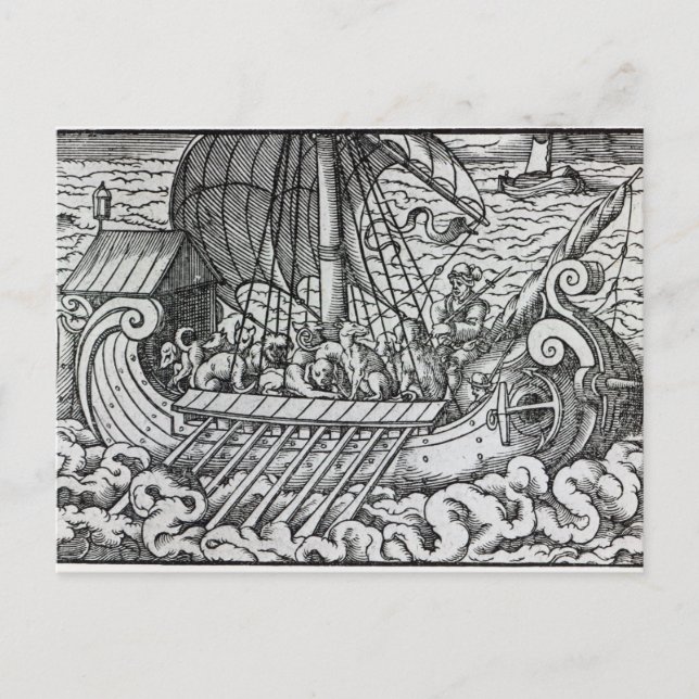 Carte Postale Viking Ship (Devant)
