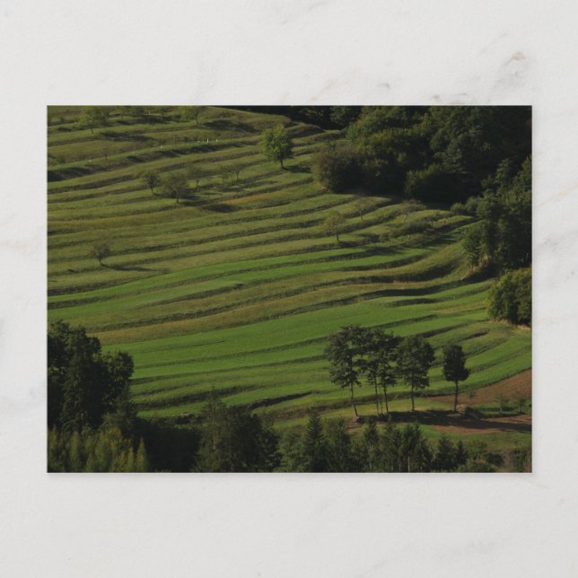 Carte Postale Village de Prem, Brkini Hills, Slovénie (Devant)
