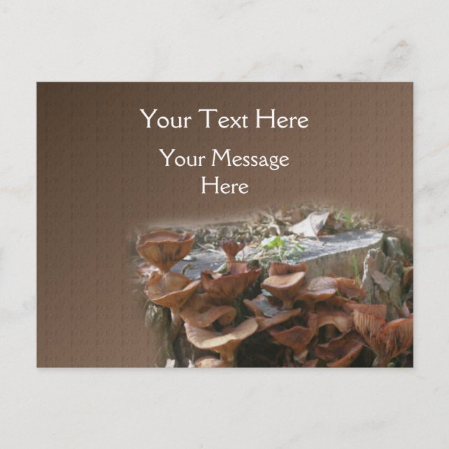Carte Postale Village des champignons Nature (Devant)