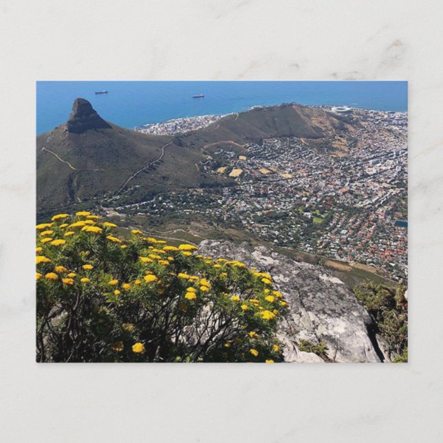 Carte Postale ville de cape (Devant)