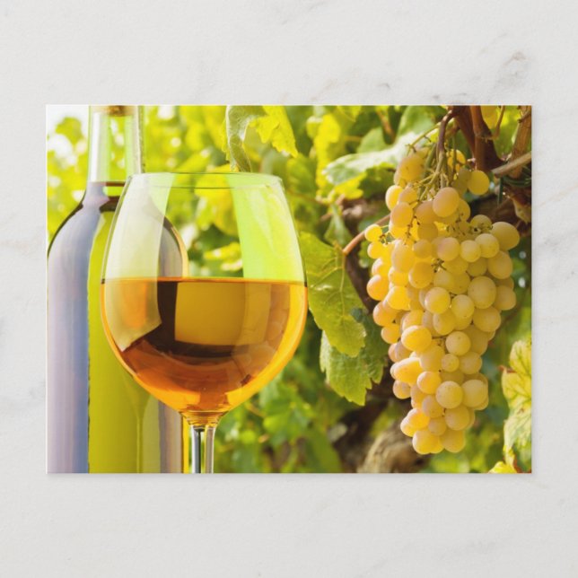 Carte Postale Vin Blanc Et Raisins (Devant)