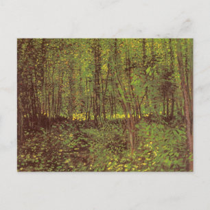 Carte Postale Vincent van Gogh - Arbres et sous-bois