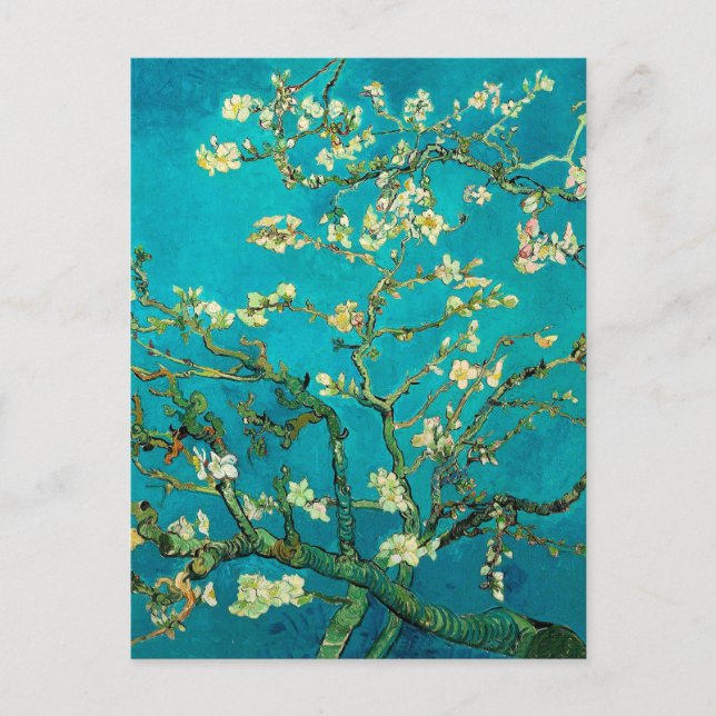 Carte Postale Vincent Van Gogh Blossoming Almond Tree Floral Art (Devant)