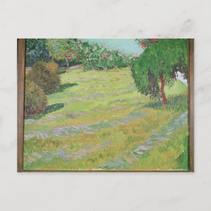 Carte Postale Vincent van Gogh   Field in Sunlight, 1888