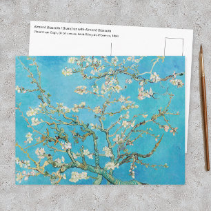 Carte Postale Vincent van Gogh - Fleur d'amandier