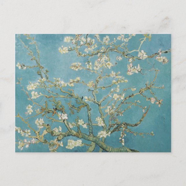 Carte Postale vincent van gogh, fleurs d'amandes (Devant)