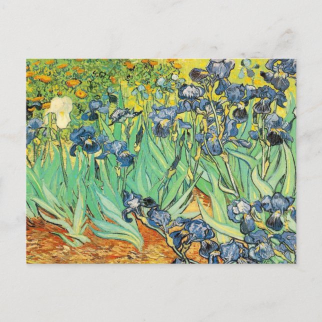 Carte Postale Vincent Van Gogh - Irises (Devant)
