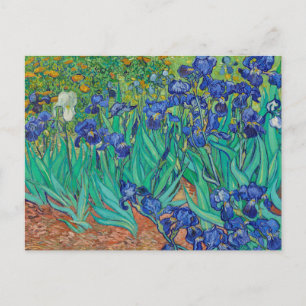 Carte postale Vincent van Gogh Irises