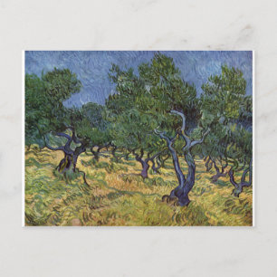 Carte Postale Vincent van Gogh - Olive Grove