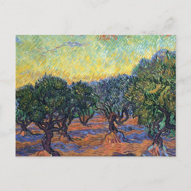 Carte Postale Vincent Van Gogh Olive Grove Impressionnisme Art (Devant)