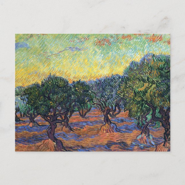 Carte Postale Vincent Van Gogh Olive Grove Impressionnisme Art (Devant)