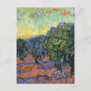 Carte Postale Vincent Van Gogh Olive Grove Impressionnisme Art