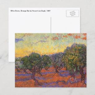 Carte Postale Vincent van Gogh - Olive Grove, Orange Sky
