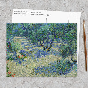 Carte Postale Vincent van Gogh - Oliveraie : ciel bleu brillant